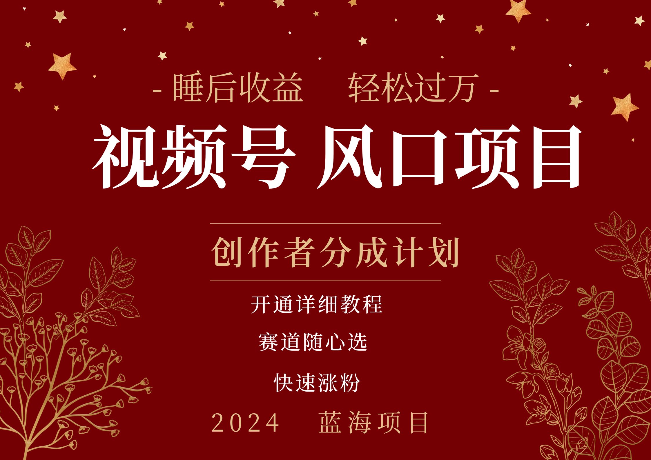 拥有睡眠收益的微信视频号大风口项目，轻松月入过万+，多赛道选择，可矩阵，玩法简单轻松上手-佐帆副业网