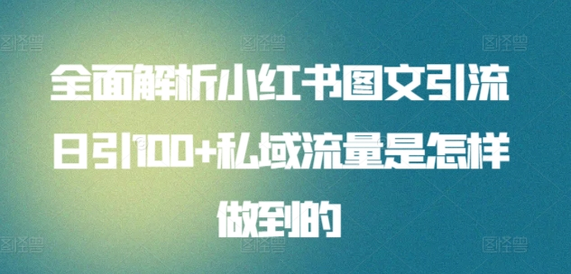 日引流100私域流量小红书图文是怎样做到的全面解析-佐帆副业网