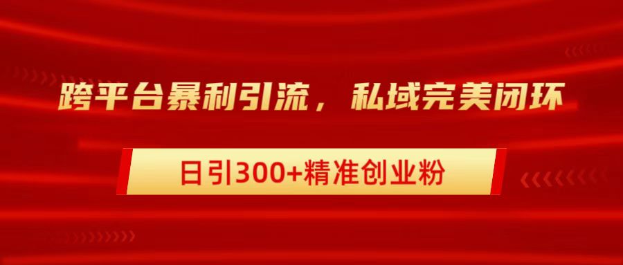 跨平台暴力引流，私域完美闭环，日引300+精准创业粉-佐帆副业网