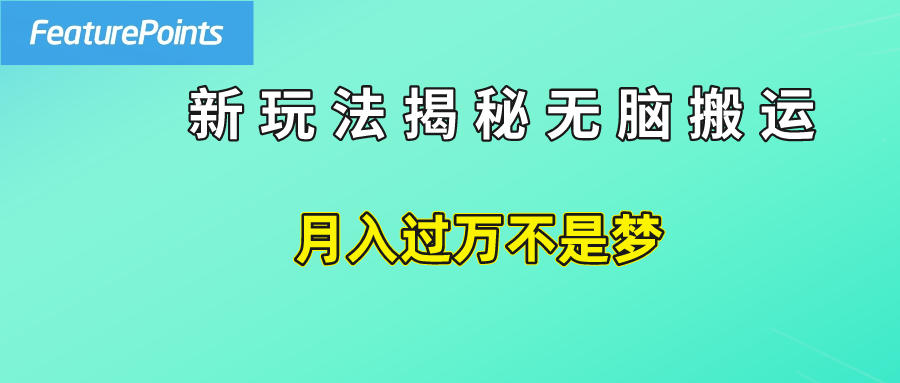 简单操作，每天50美元收入，搬运就是赚钱的秘诀！-佐帆副业网