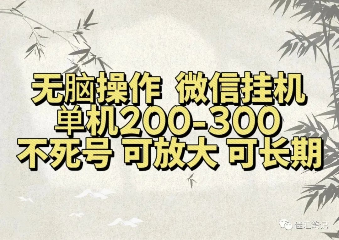 无脑操作微信视频号挂机单机200-300一天，不死号，可放大，工作室实测-佐帆副业网