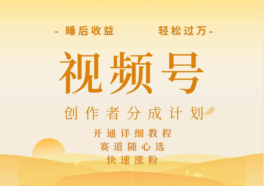 详解视频号创作者分成计划，暴力起号，可同步多平台，实现睡后收入2W+，看懂即可操作！-佐帆副业网