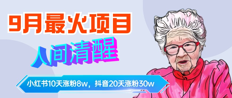 9月最火项目，人间清醒柒奶奶，10天小红薯涨粉8w+，单篇笔记报价1400.-佐帆副业网