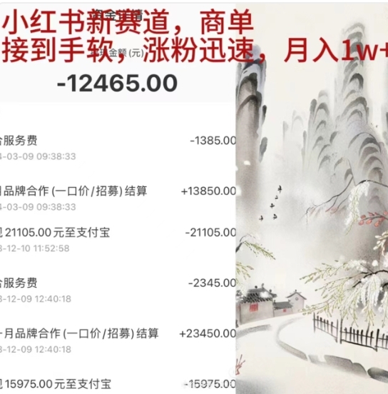 小红书新赛道，商单接到手软，涨粉迅速，一个月1w+-佐帆副业网