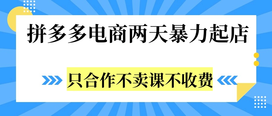 拼多多两天暴力起店，只合作不卖课不收费-佐帆副业网