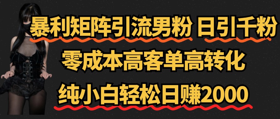 暴利矩阵引流男粉（日引千粉），零成本高客单高转化，纯小白轻松日赚2000+-佐帆副业网