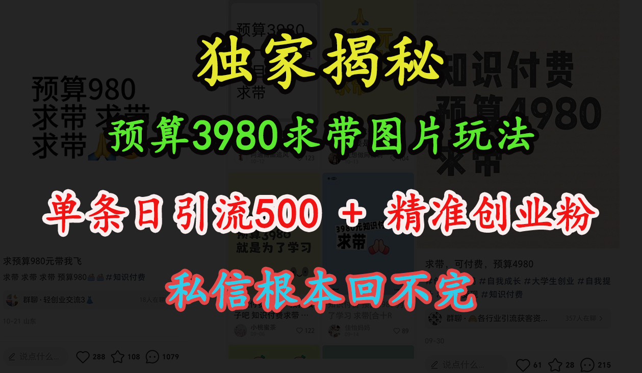 “小红书”预算3980求带 图片玩法，单条日引流500+精准创业粉，私信根本回不完-佐帆副业网