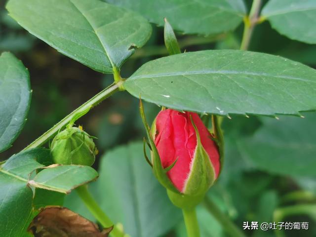 副业怎样选择,不影响工作还能有额外的收入插图2 副业怎样选择,不影响工作还能有额外的收入插图2