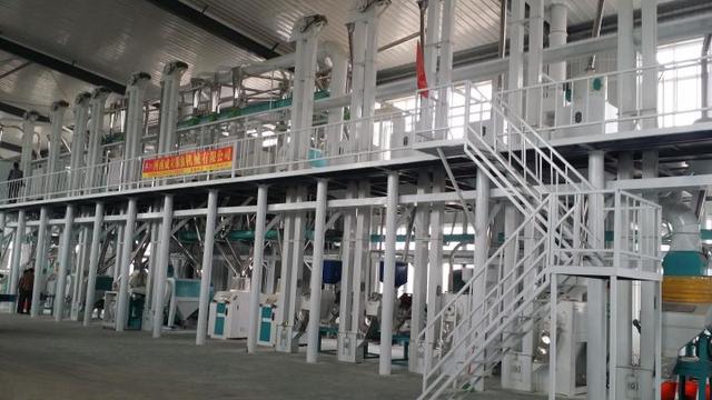 五十吨玉米深加工项目赚钱吗？小型玉米深加工项目有哪些？-佐帆副业网