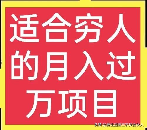 适合农村人做的赚钱项目（在农村做什么项目好）-佐帆副业网