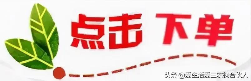 农村种植什么利润高(种什么药材最赚钱农村2022年)插图5 农村种植什么利润高(种什么药材最赚钱农村2022年)插图5