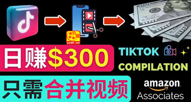 【副业项目3813期】搬运Tiktok短视频到Youtube赚钱，只需下载，合并视频，日赚300美元-佐帆副业网