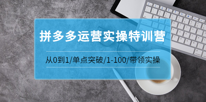 【副业项目3863期】拼多多运营实操特训营：拼多多直通车进阶优化技巧，拼多多如何操作利润最大化-佐帆副业网