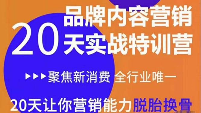 【副业项目3899期】《内容营销实操特训营》20天让你营销能力脱胎换骨（价值3999）-佐帆副业网