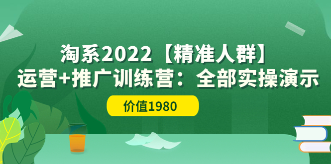 【副业项目3941期】淘系2022【精准人群】运营+推广训练营：全部实操演示-佐帆副业网