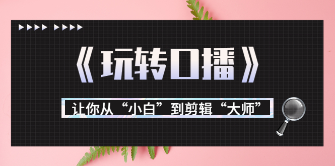 【副业项目3987期】月营业额700万+大佬教您《玩转口播》让你从“小白”到剪辑“大师”-佐帆副业网