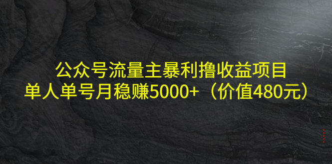【副业项目4325期】公众号流量主暴利撸收益项目，单人单号月稳赚5000+（价值480元-佐帆副业网