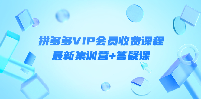 【副业项目4426期】某社群·拼多多VIP会员收费课程，最新集训营+答疑课-价值3299元-佐帆副业网