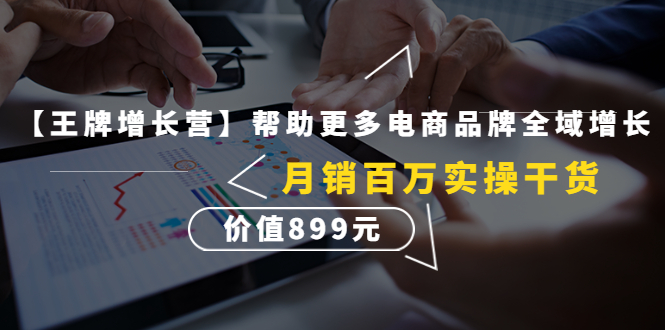 【副业项目4547期】【王牌增长营】帮助更多电商品牌全域增长，月销百万实操干货，价值899元-佐帆副业网