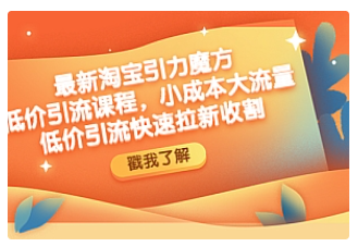 【副业项目4943期】最新淘宝引力魔方低价引流实操：小成本大流量，低价引流快速拉新收割-佐帆副业网