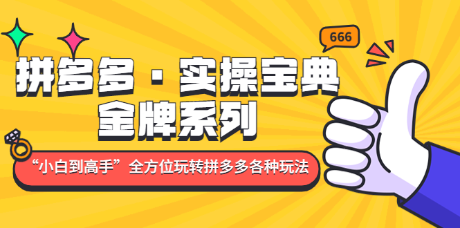 【副业项目5130期】拼多多·实操宝典：金牌系列“小白到高手”带你全方位玩转拼多多各种玩法-佐帆副业网