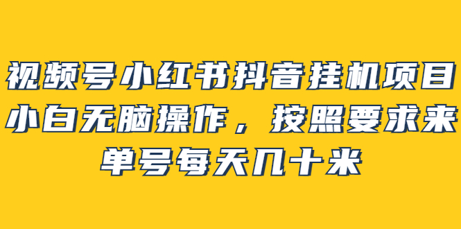 【副业项目2904期】视频号小红书抖音挂机项目，小白无脑操作，按照要求来，单号每天几十米-佐帆副业网