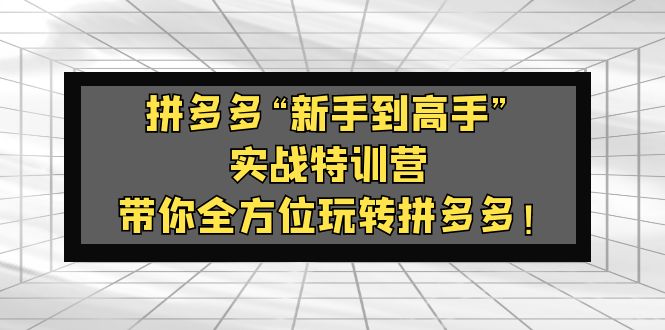 【副业项目5317期】拼多多“新手到高手”实战特训营：带你全方位玩转拼多多-佐帆副业网