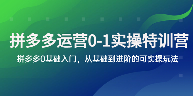 【副业项目5801期】拼多多-运营0-1实操训练营，拼多多0基础入门，从基础到进阶的可实操玩法-佐帆副业网