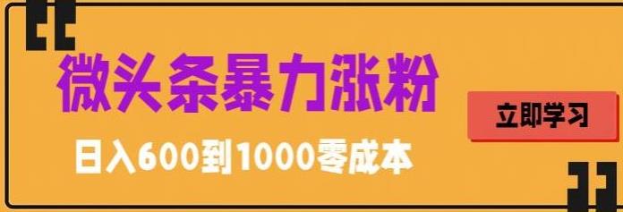【副业项目5970期】微头条暴力涨粉技巧搬运文案就能涨几万粉丝，简单0成本，日赚600-佐帆副业网