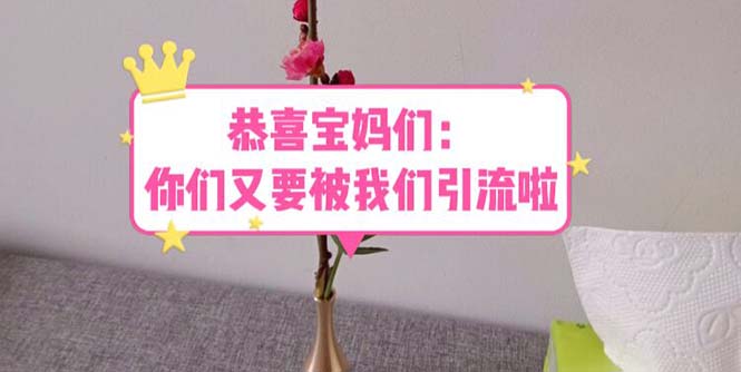 【副业项目5918期】恭喜宝妈们：你们又要被我们引流了（教程+222g资料）-佐帆副业网