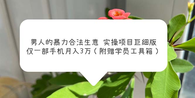【副业项目5982期】男人的暴力合法生意实操项目巨细版：仅一部手机月入3w（附赠学员工具箱）-佐帆副业网