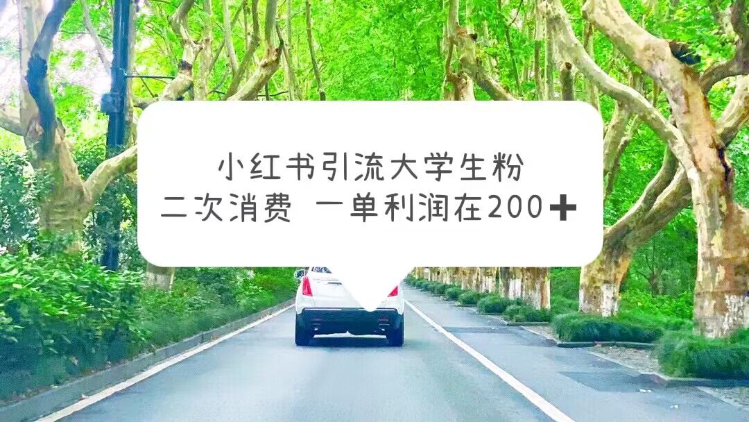 【副业项目5937期】小红书引流大学生粉，变现项目，一单利润在200+（教程+资源）-佐帆副业网