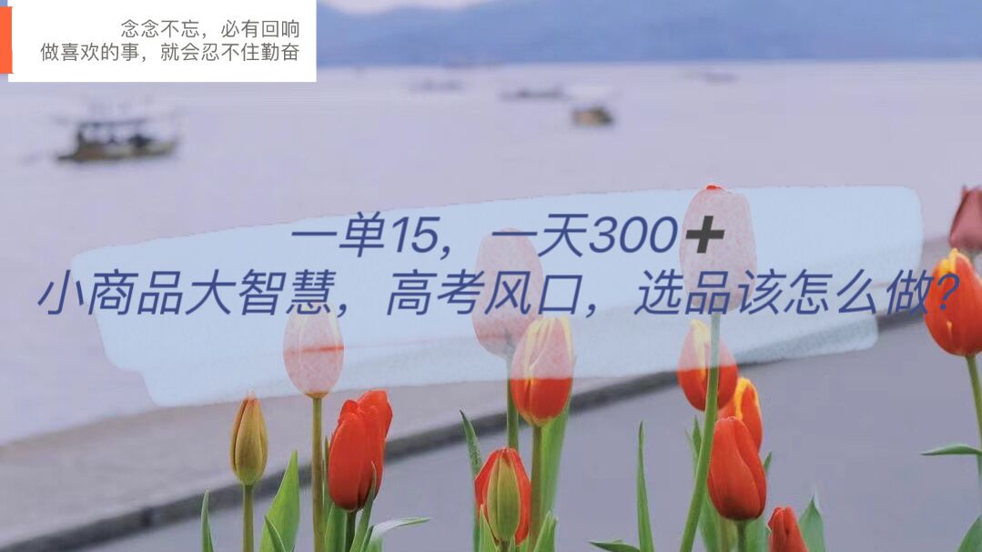 【副业项目6119期】一单15，一天300+，小商品大智慧，高考风口，选品该怎么布局-佐帆副业网