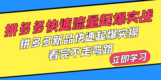 【副业项目6310期】拼多多-快速流量起爆实战，拼多多新品快速起爆实操，看完不走弯路-佐帆副业网