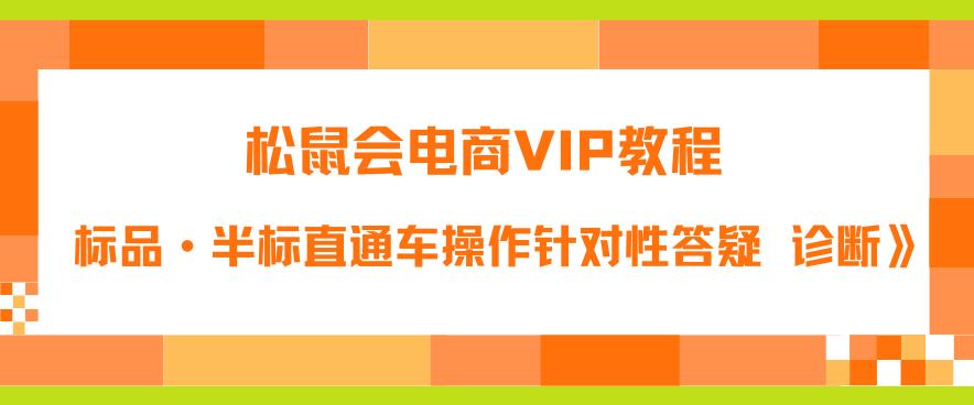 【副业项目6373期】松鼠会电商VIP教程：松鼠《付费推广标品·半标直通车操作针对性答疑&诊断》-佐帆副业网