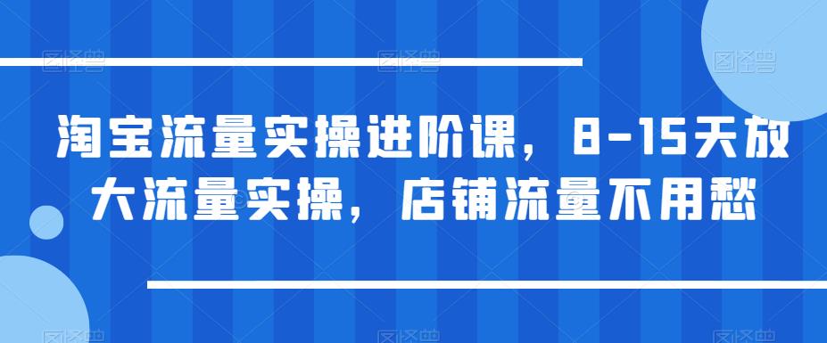 【副业项目6415期】淘宝流量实操进阶课，8-15天放大流量实操，店铺流量不用愁-佐帆副业网