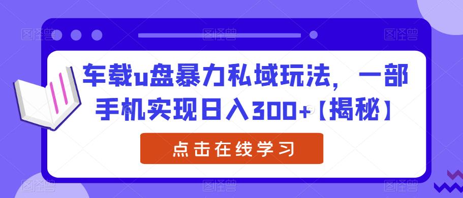 【副业项目6441期】车载u盘暴力私域玩法，一部手机实现日入300+【揭秘】-佐帆副业网