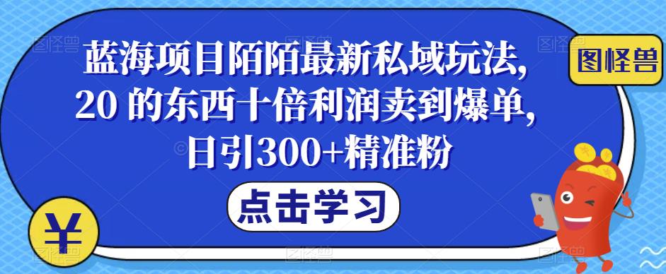 【副业项目6699期】蓝海项目陌陌最新私域玩法，20 的东西十倍利润卖到爆单，日引300+精准粉【揭秘】-佐帆副业网