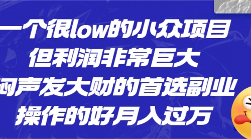 【副业项目6782期】一个很low的小众项目，但利润非常巨大，闷声发大财的首选副业，月入过万-佐帆副业网