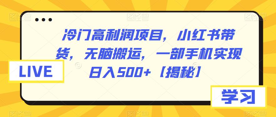 【副业项目6875期】冷门高利润项目，小红书带货，无脑搬运，一部手机实现日入500+【揭秘】-佐帆副业网
