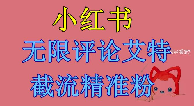 【副业项目6846期】小红书无限评论艾特截流精准粉（软件+教程）-佐帆副业网