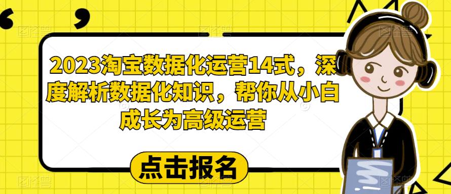 【副业项目6599期】2023淘宝数据化-运营 14式，深度解析数据化知识，帮你从小白成长为高级运营-佐帆副业网