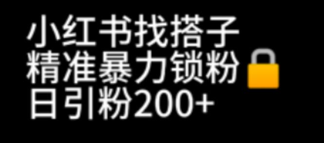 【副业项目7040期】小红书找搭子暴力精准锁粉+引流日引200+精准粉-佐帆副业网