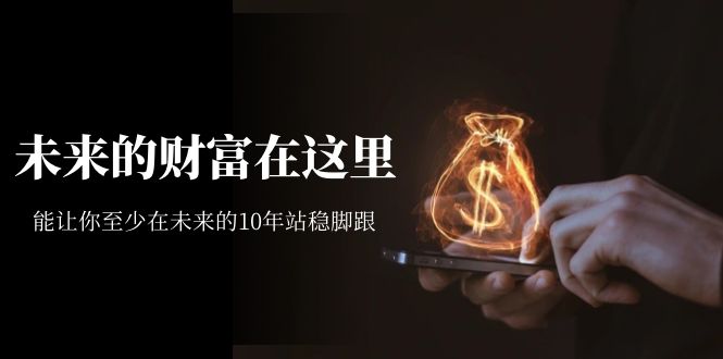 【副业项目7298期】某收费文章《未来的财富在这里》能让你至少在未来的10年站稳脚跟-佐帆副业网