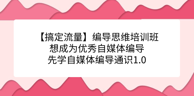 【副业项目7456期】编导思维培训班，想成为优秀自媒体编导先学自媒体编导通识1.0-佐帆副业网