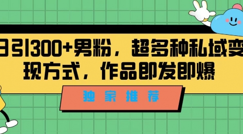 【副业项目7191期】独家推荐！日引300+男粉，超多种私域变现方式-佐帆副业网