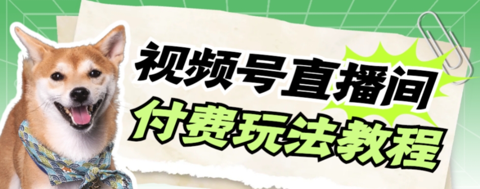 【副业项目7973期】视频号美女付费无人直播，轻松日入500+-佐帆副业网