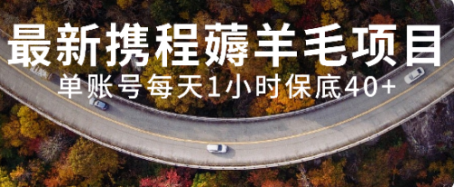 【副业项目8232期】最新携程薅羊毛项目，单账号每天1小时保底收益40+，可矩阵操作-佐帆副业网