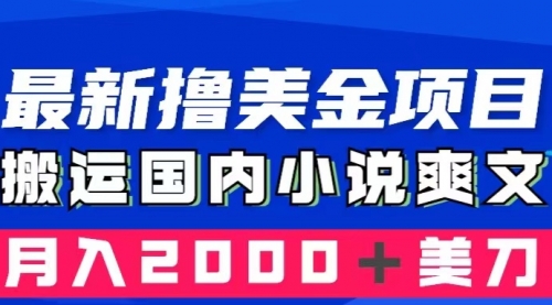 【副业项目8408期】国内小说爽文搬运到国外，复制粘贴一月2000+美金-佐帆副业网