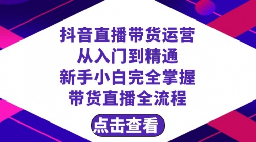 【副业项目8483期】抖音直播带货 运营从入门到精通，新手完全掌握带货直播全流程（23节-佐帆副业网